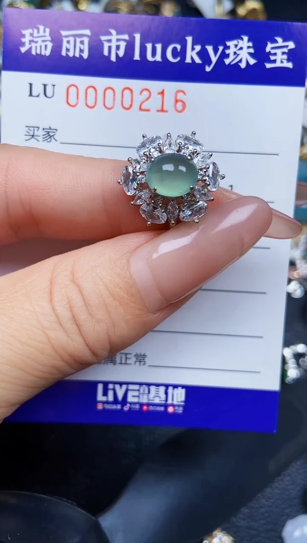 翡翠银S925镶嵌颈饰0216
