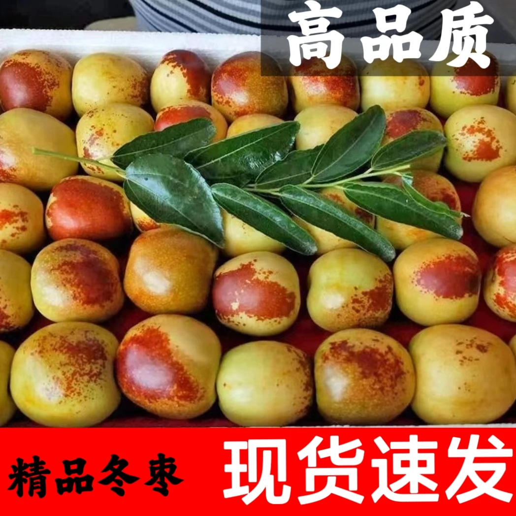【高品质包邮】脆甜沾化冬枣冰糖冬枣爆甜多汁大枣新鲜水果3/5斤
