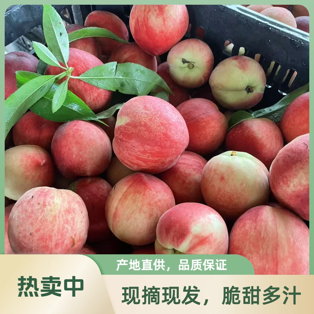 【顺丰包邮】湖南头茬露天特早脆红桃树熟脆甜多汁现摘现发