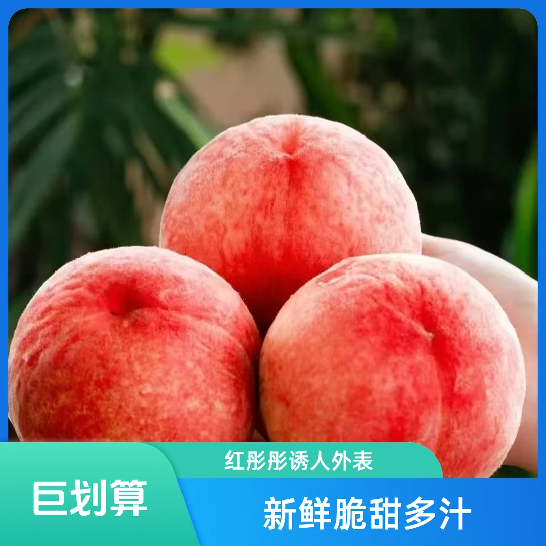 北京平谷  甜津津果肉 现摘水蜜桃 果大味美1/2/3/5斤装当季新鲜水果桃子北京市