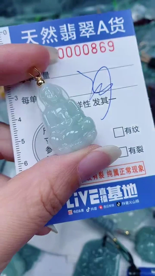 翡翠未镶嵌颈饰00000869