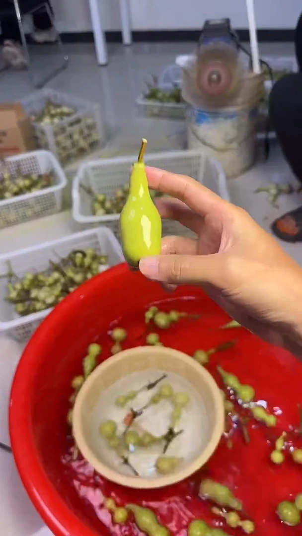 海*文玩葫芦摆件手把件本捻