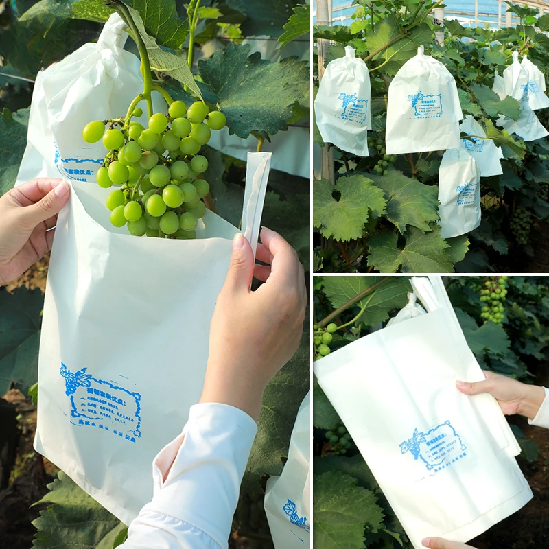 包葡萄套袋水果袋防虫防鸟水果防水雨套葡萄用的袋子莲雾保护纸袋