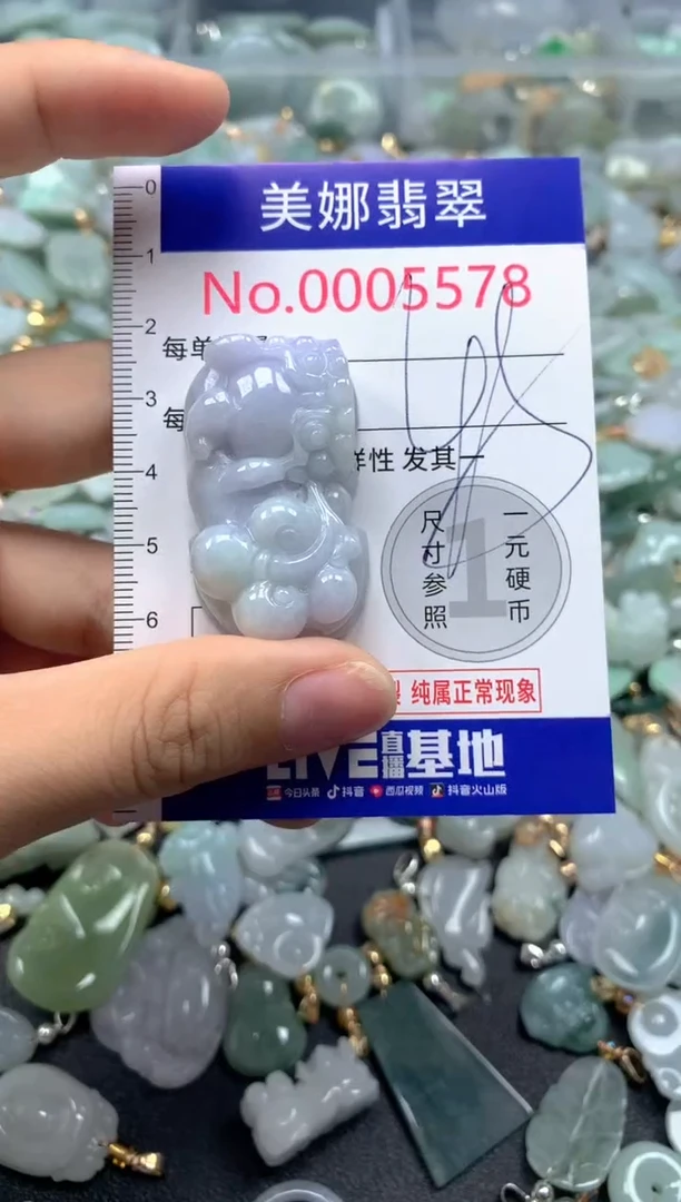 颈饰未镶嵌翡翠5578
