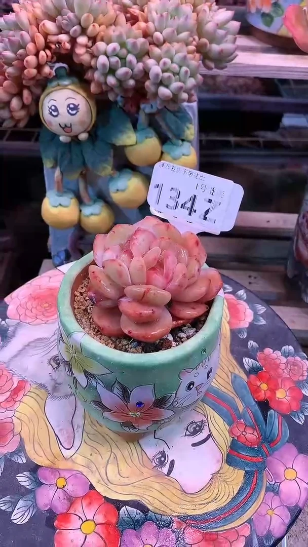【闪购商品】134ZZZ