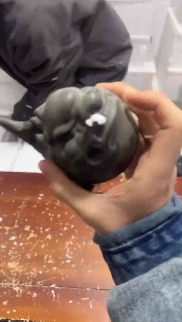 【闪购商品】其他其他其他其他其他