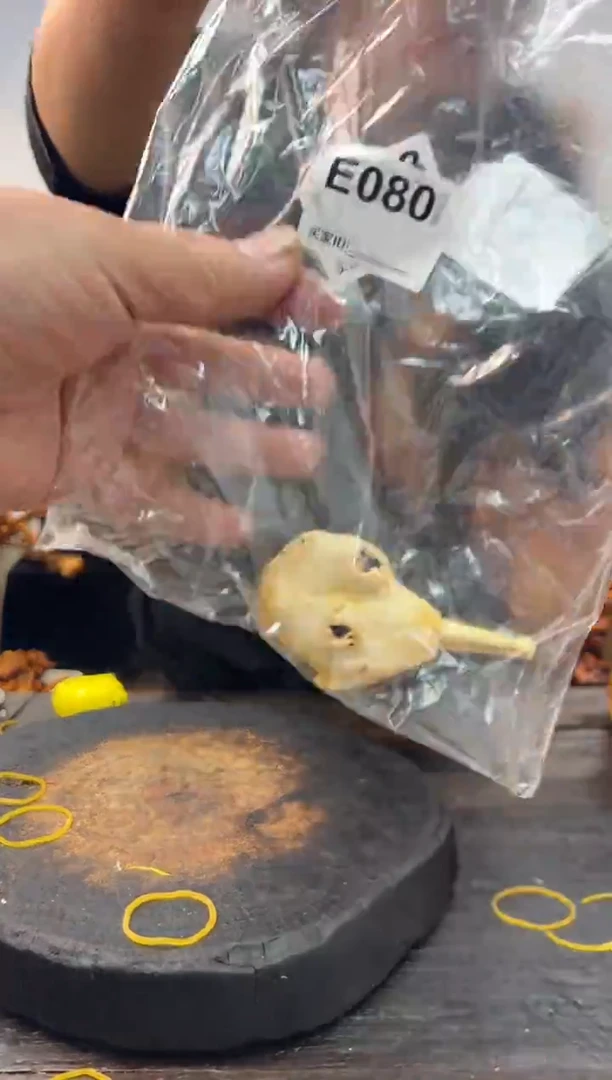 黑果木其他黑果木288