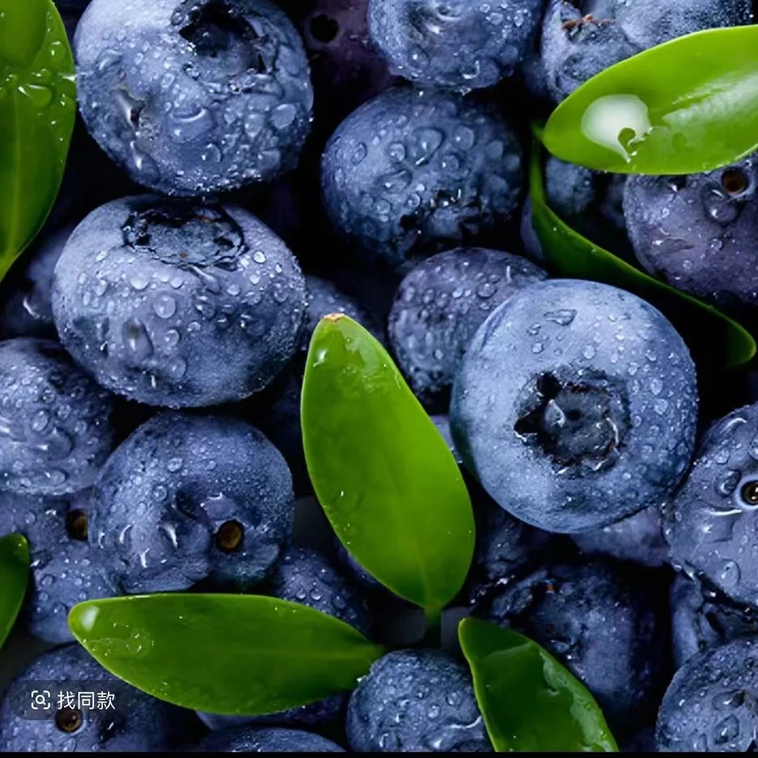 梦 新鲜蓝莓特大果 20mm＋蓝莓 100g/盒 到手8盒 顺丰包邮发货