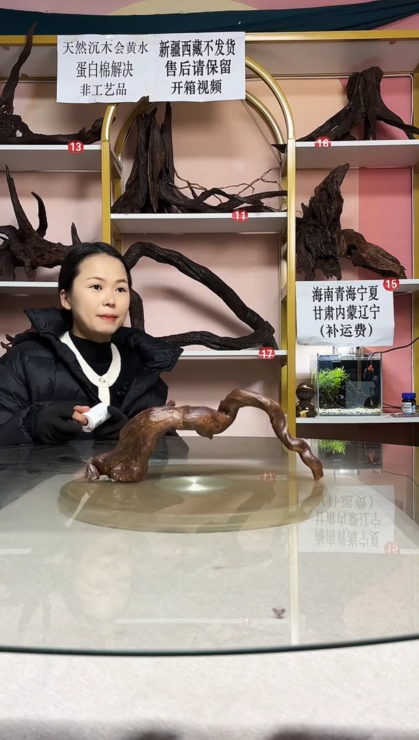 含****的鱼缸造景沉木A853