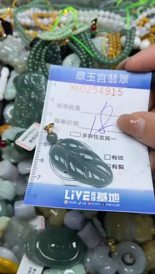 颈饰未镶嵌翡翠闪购C0254915