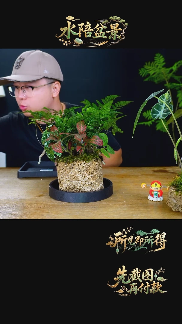 石云社一物一拍组合盆栽14