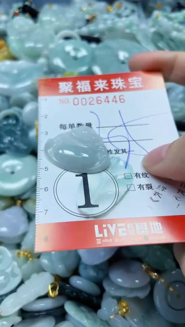 【闪购商品】翡翠颈饰未镶嵌闪购0026446