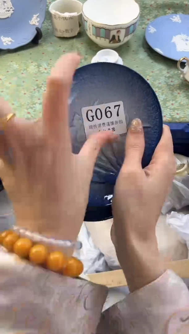 【闪购商品】瓷片          G067