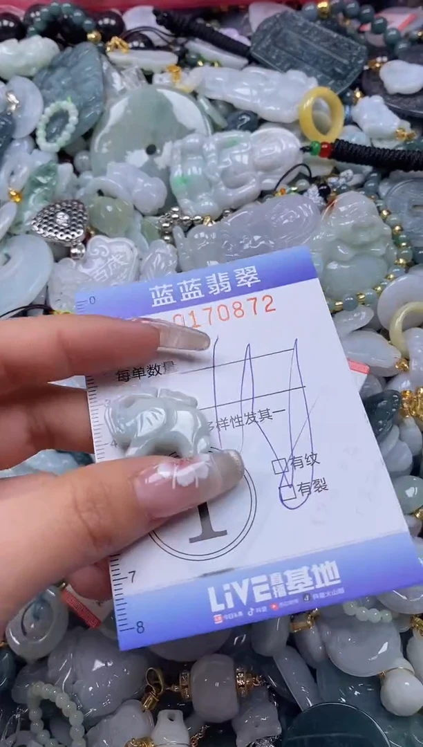 【闪购商品】翡翠颈饰未镶嵌闪购0170872