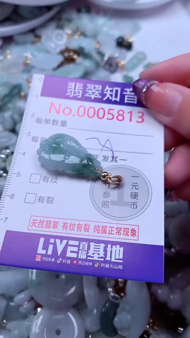 翡翠未镶嵌吊坠(不含链)5813