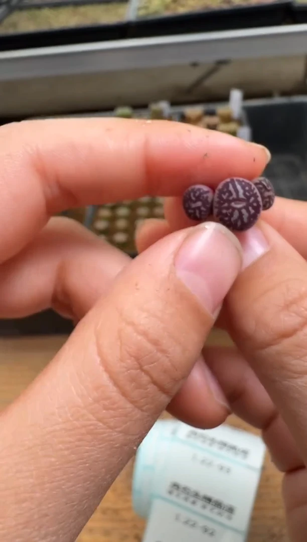 【闪购商品】1/22-92