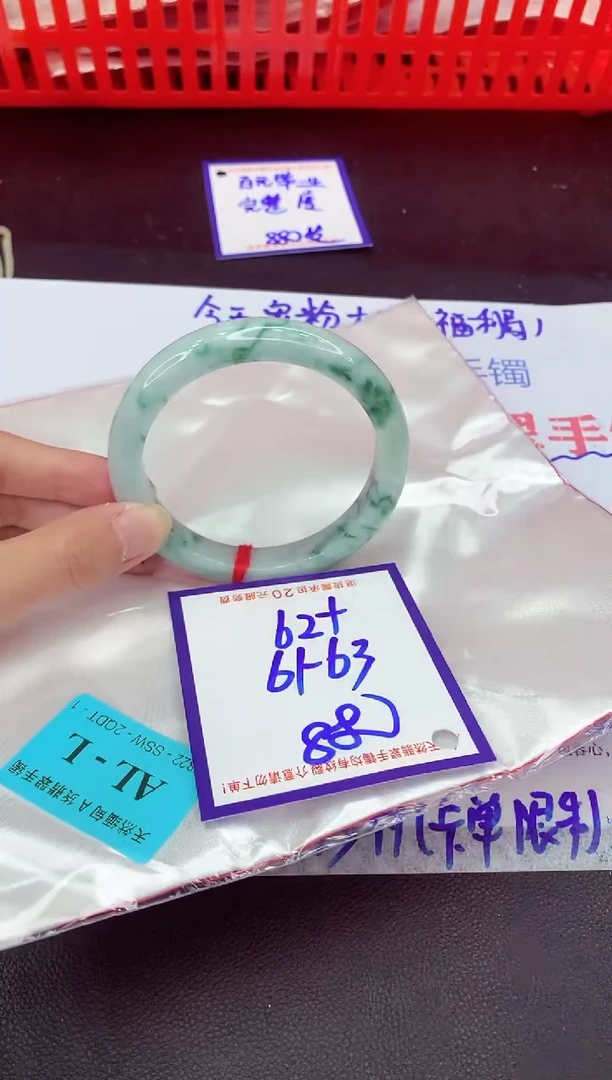 未镶嵌手镯翡翠11111111