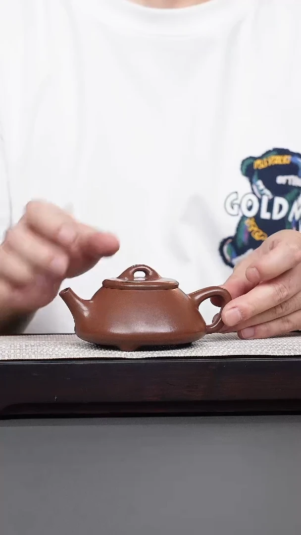 茶壶紫砂紫泥任瓢