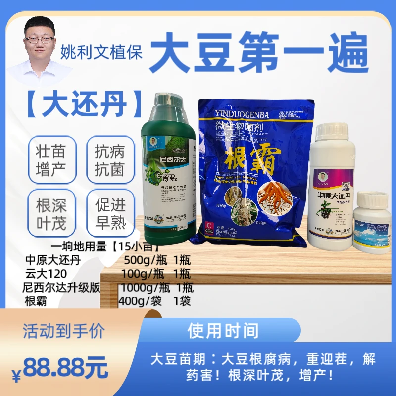 中原大还丹【大豆第一遍】