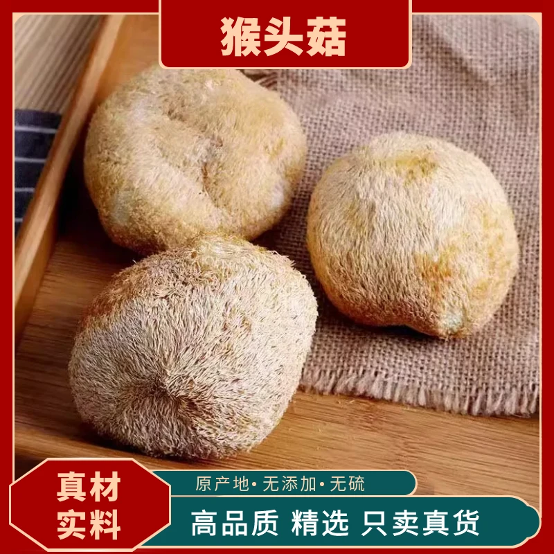 猴头菇干货农家土特产干菌菇煲汤养胃食材猴菇精选野生天然无硫