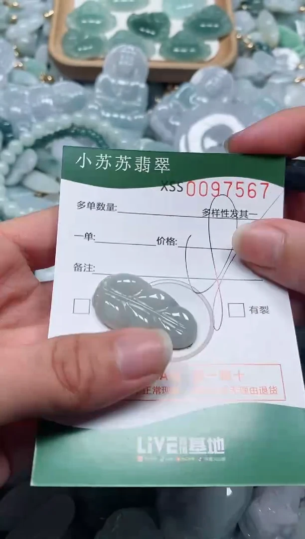 【闪购商品】翡翠颈饰未镶嵌闪购商品0097567