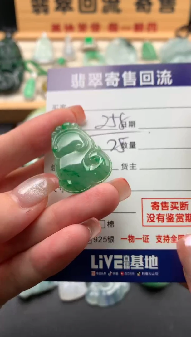 翡翠未镶嵌颈饰10140869