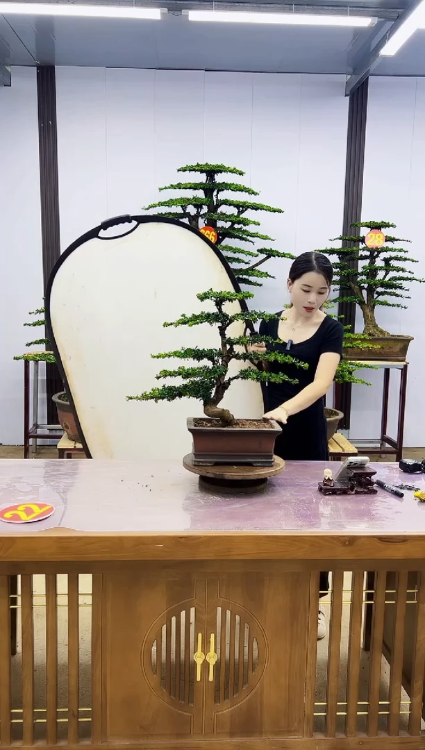 无花朵0000000000000000