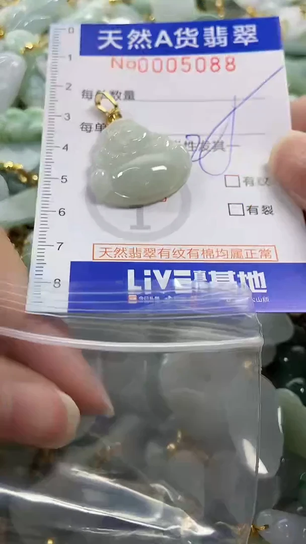 颈饰未镶嵌翡翠纯天然货翡翠