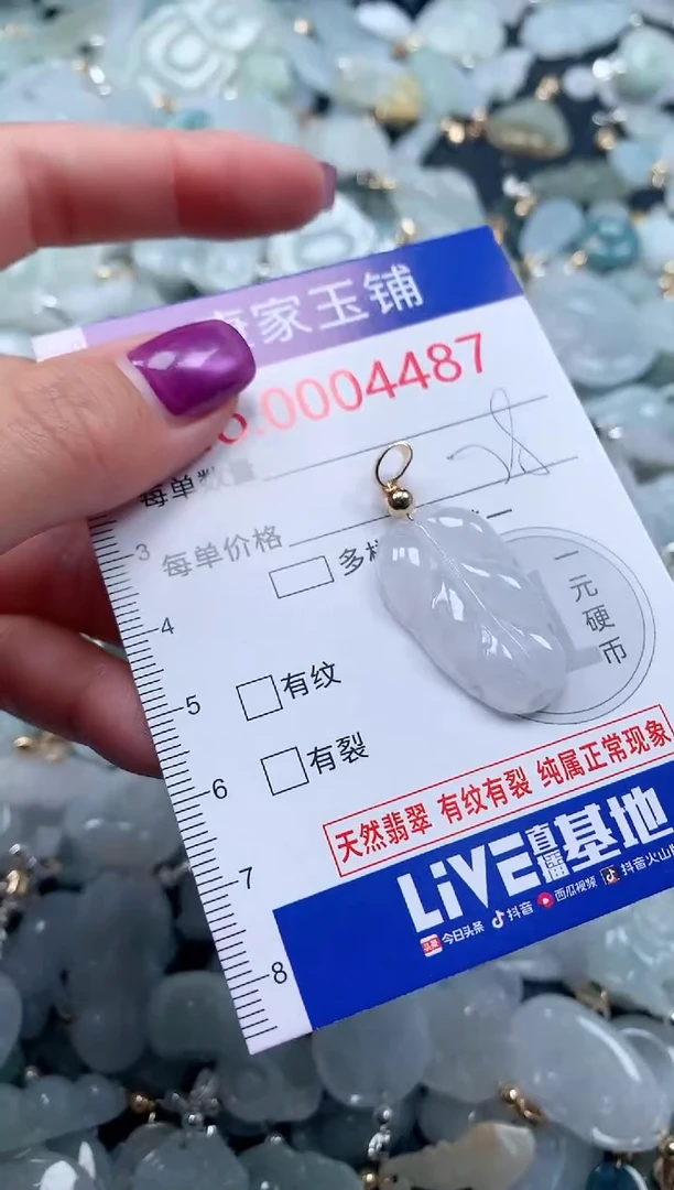 颈饰未镶嵌翡翠4487