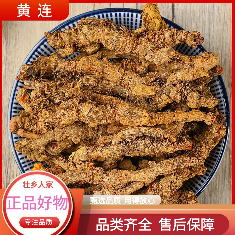 黄连正宗野生中药材川黄连个鸡爪黄连泡水黄莲个黄连根散装非葛根