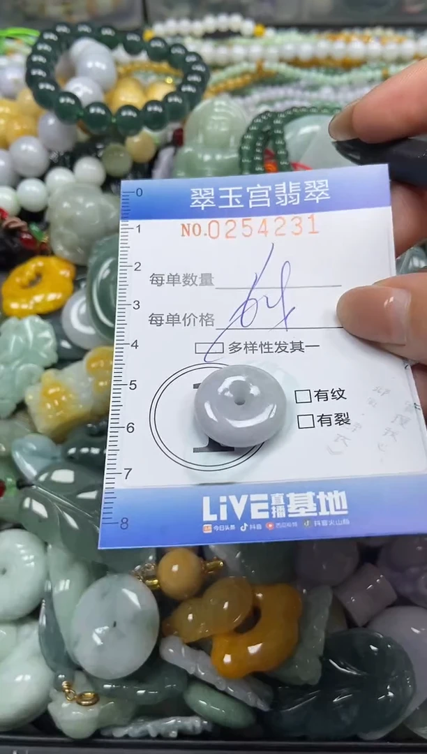 颈饰未镶嵌翡翠闪购C0254231多样性发其一