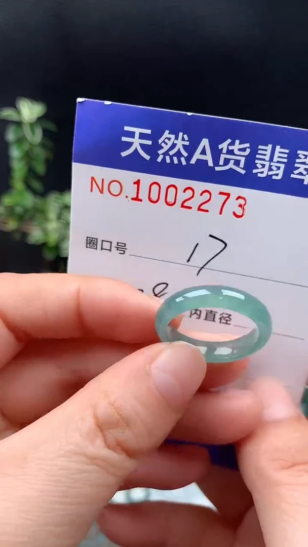 未镶嵌戒指翡翠17#