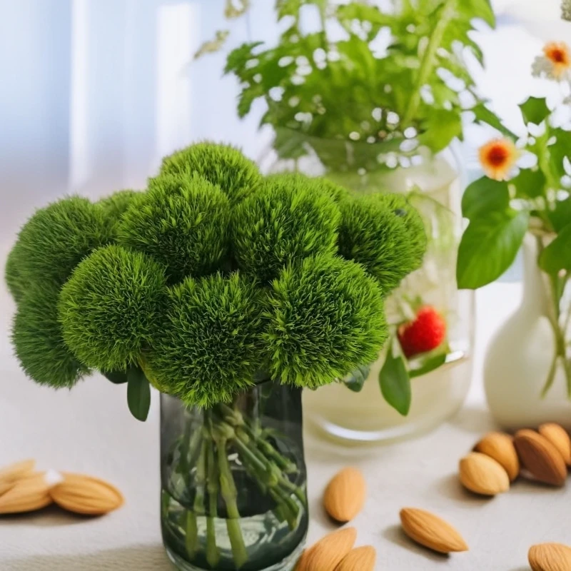【绿毛球】任意鲜花包邮 两单升级冷链 三单及以上鲜花顺丰