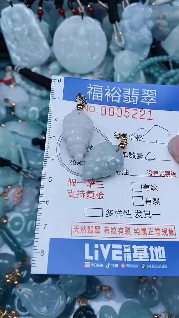 【闪购商品】翡翠颈饰未镶嵌...0005221