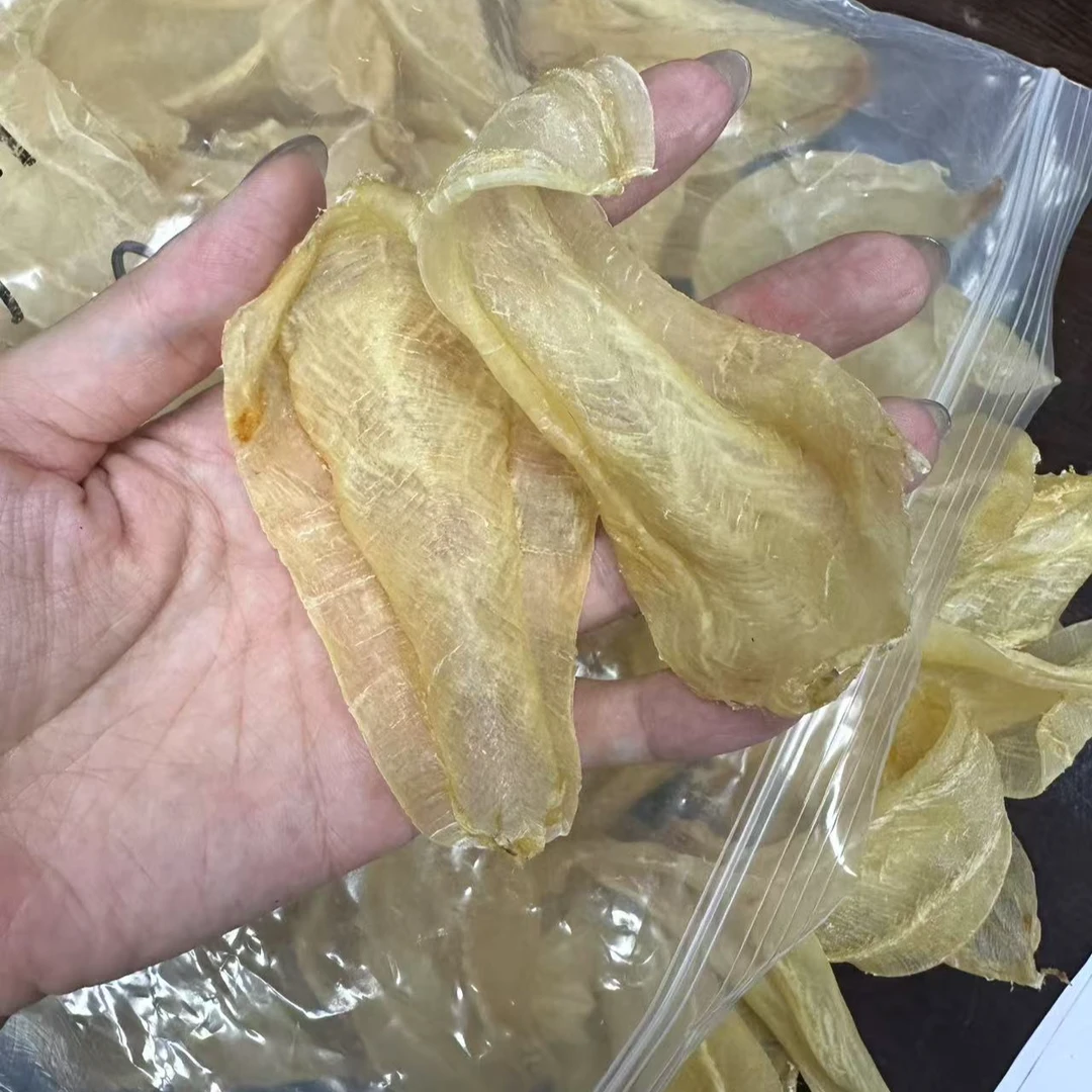 63头 印白 白花公胶