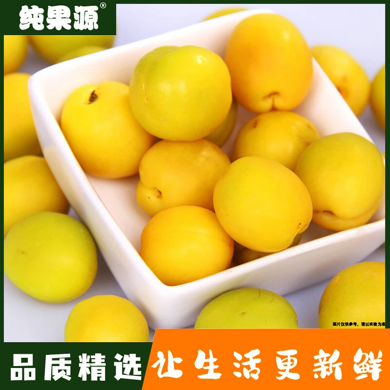 【纯果源小时达】新疆小蜜杏【约1斤】