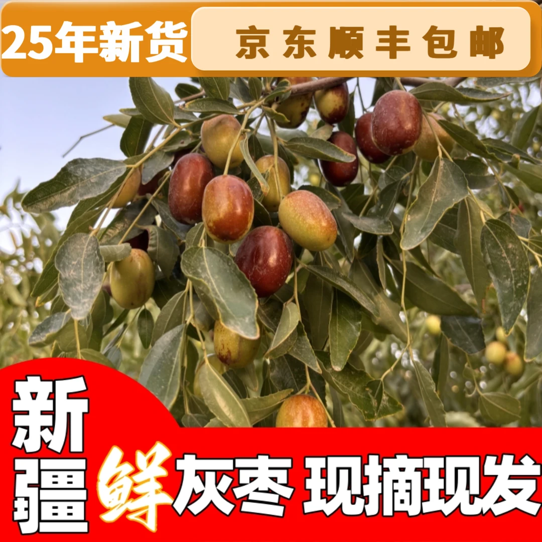 【顺丰京东包邮/鲜灰枣现摘现发】新疆鲜灰枣新鲜采摘核小脆甜可口