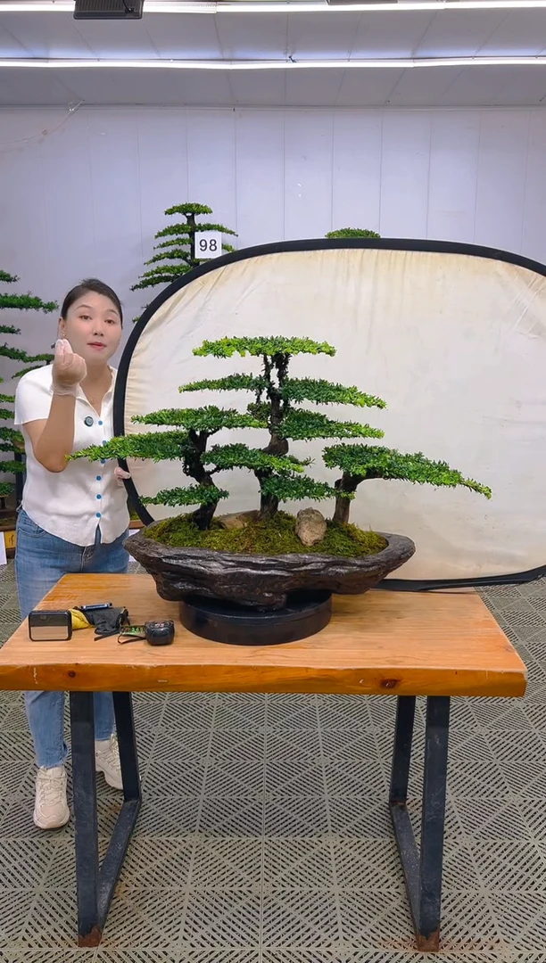 无花朵一物一拍一物一拍