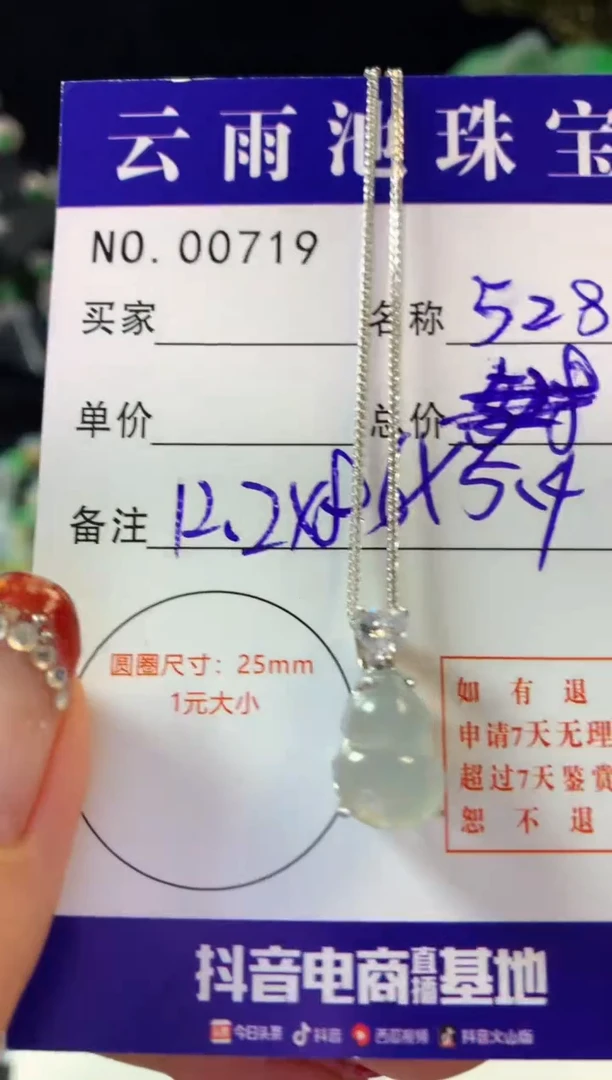 翡翠银S925镶嵌颈饰翡翠