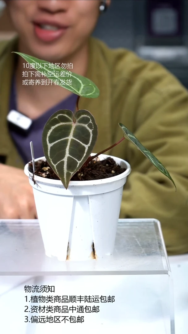 完全开放黑水晶xSKG
