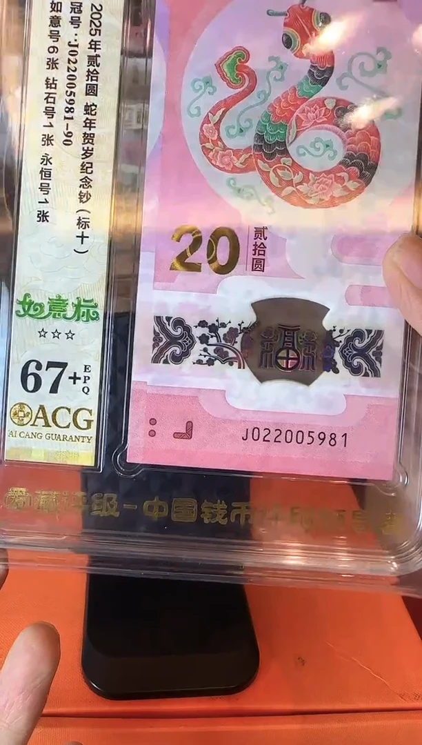 塑料2025 蛇钞 爱藏标十 啊啊啊啊