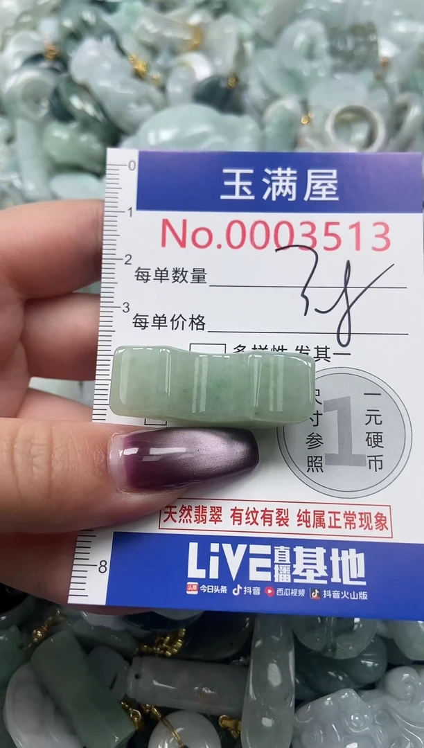 颈饰未镶嵌翡翠3513