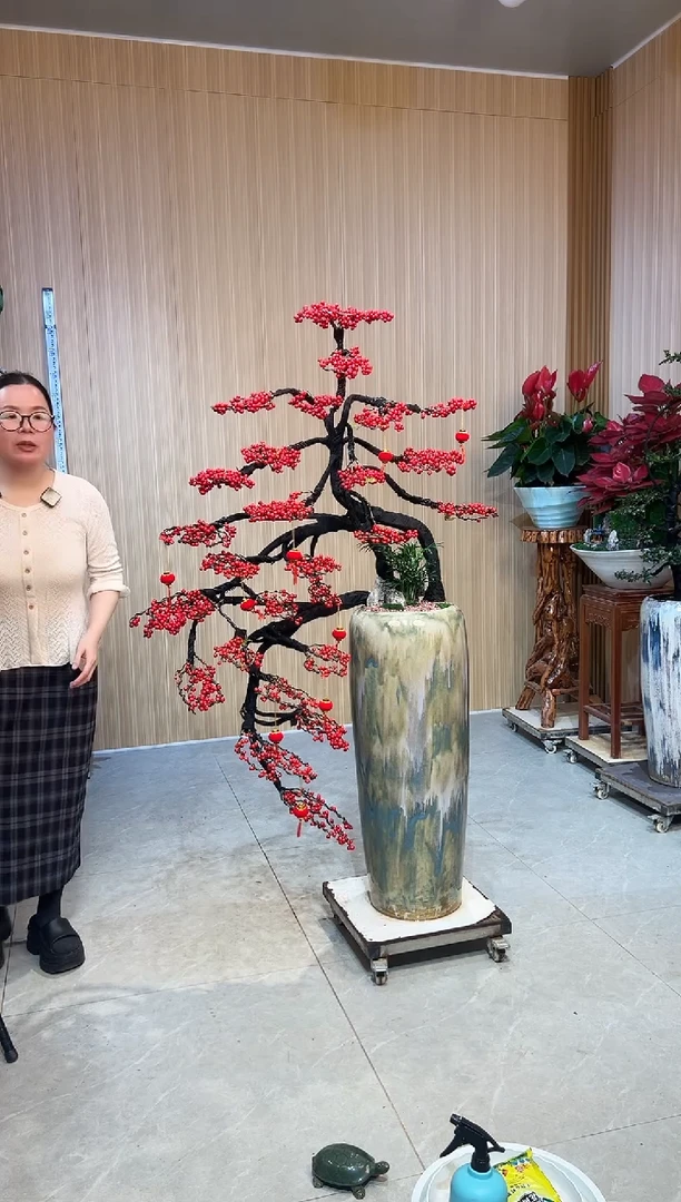 无花朵瑶****?北美冬青北美冬青落地款