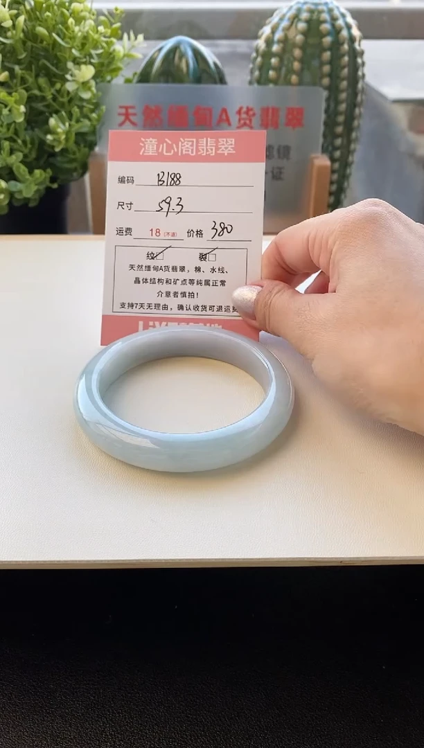 颈饰未镶嵌翡翠圈口59.3编码B188