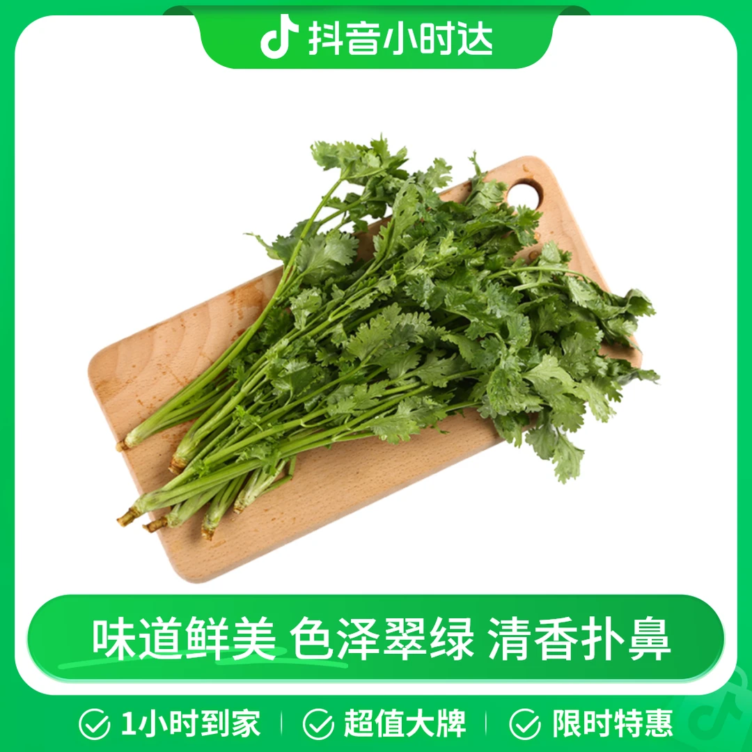 精选香菜100g