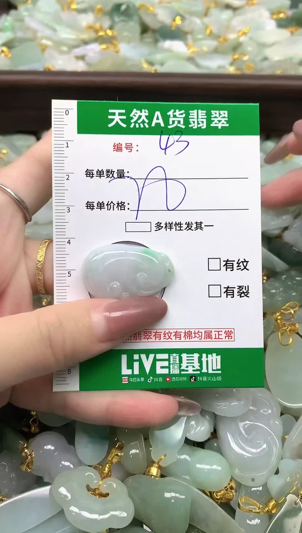 颈饰未镶嵌翡翠纯天然缅甸A货翡翠-43