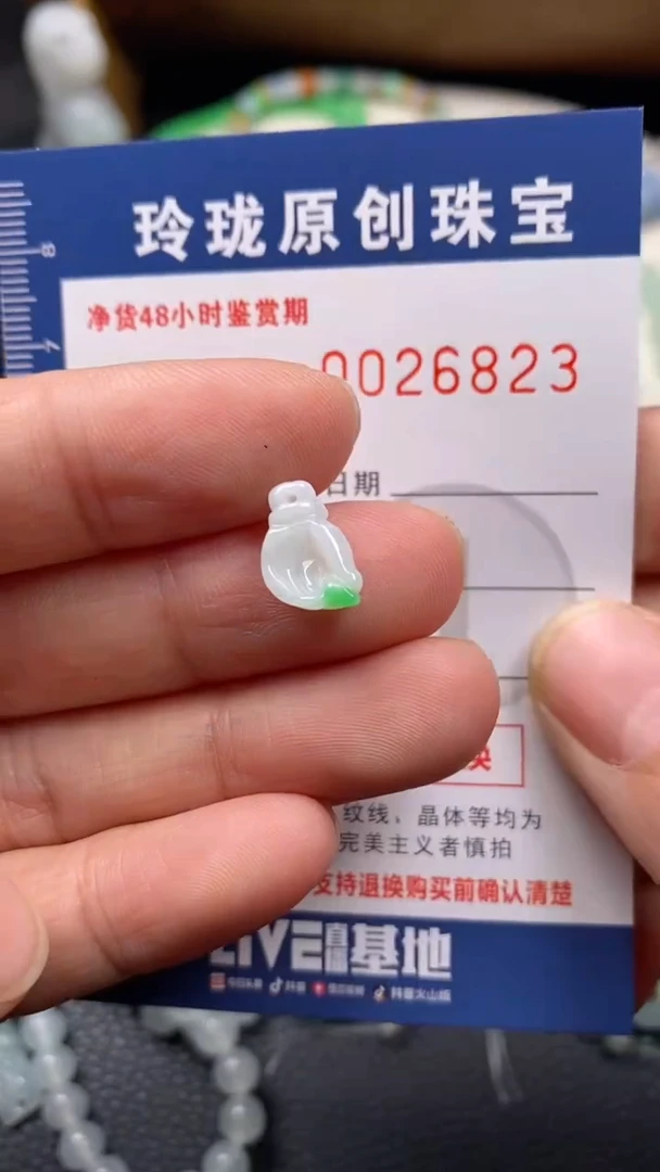 【闪购商品】翡翠颈饰未镶嵌翡翠净货26823