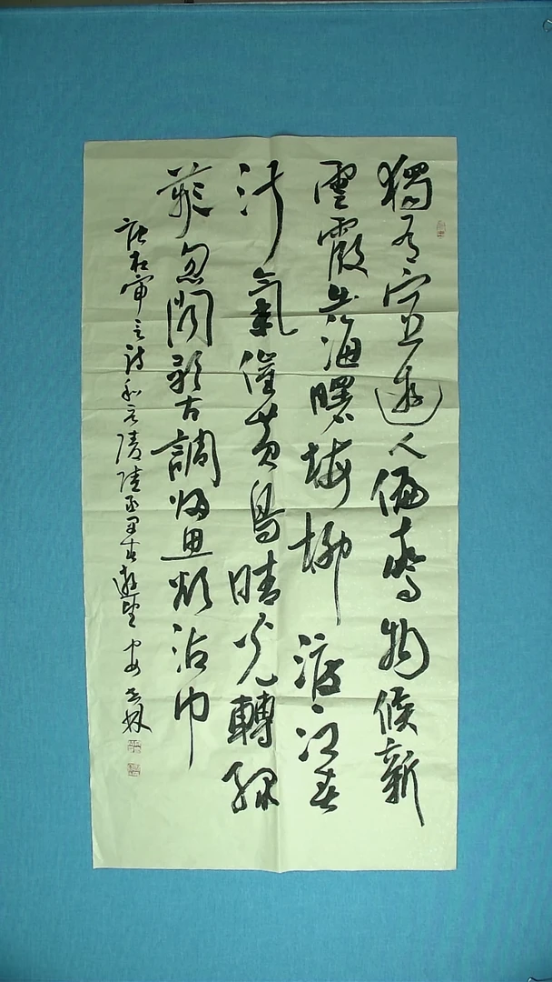 【闪购商品】书法221 甘肃安世林中书协138*69