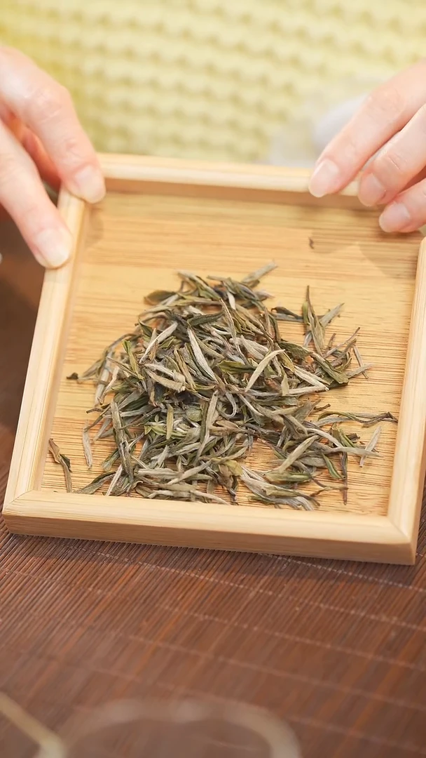 1957年 老树T级牡丹王2025年华茶壹号磻溪白毛茶大白茶500克