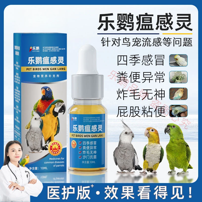 鹦鹉鸟瘟感灵感冒炸毛拉稀水便屁股粘便虎皮牡丹玄凤鹦鹉用品常备